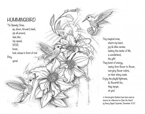 hummingbirds-image-19d